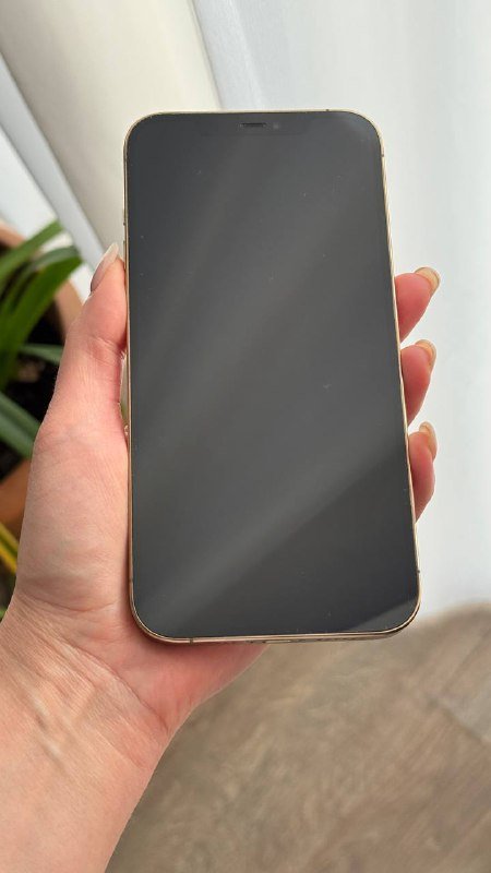 iPhone 12 Pro Max 128 ГБ с чехлами и защитными стёклами 2