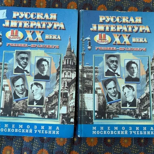 Учебники по литературе, 11 класс