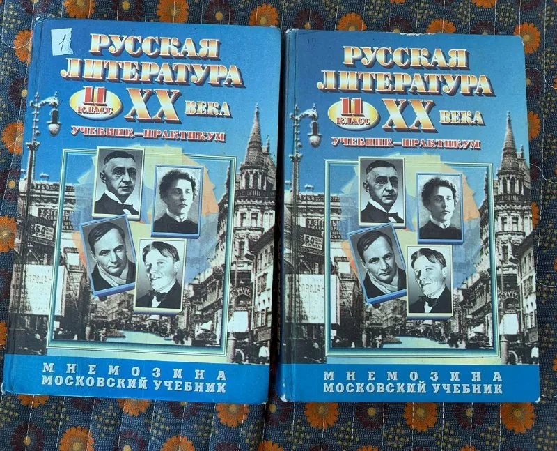 Учебники по литературе, 11 класс