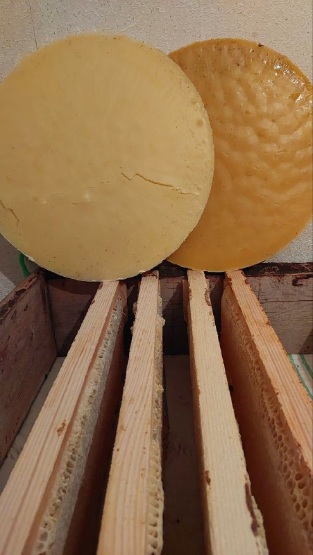 Натуральная пчелиная продукция: мёд, маточное молочко, перга, прополис, воск 8