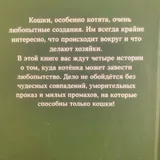 Книги Холли Вебб 2