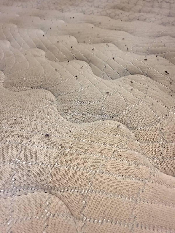 беспружинный матрас средней жесткости 3