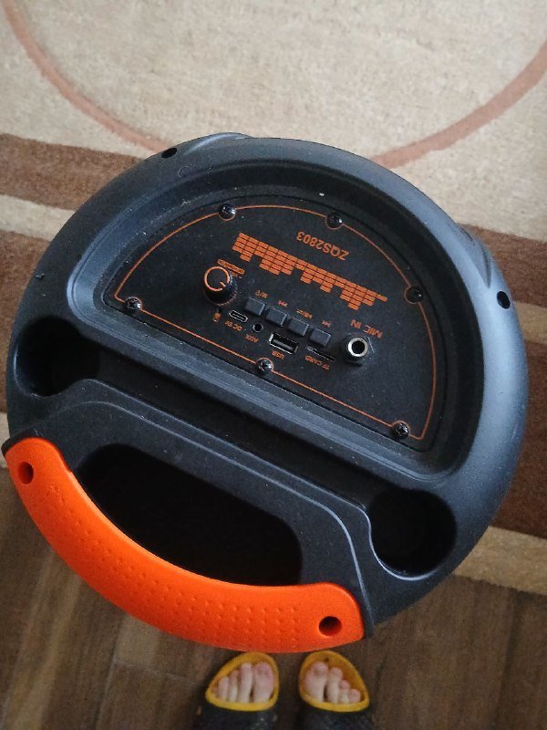 Колонка с микрофоном 1