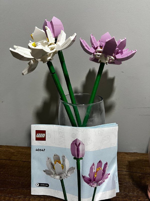 LEGO Flowers Bouquet, LEGO Friends, LEGO Minecraft наборы