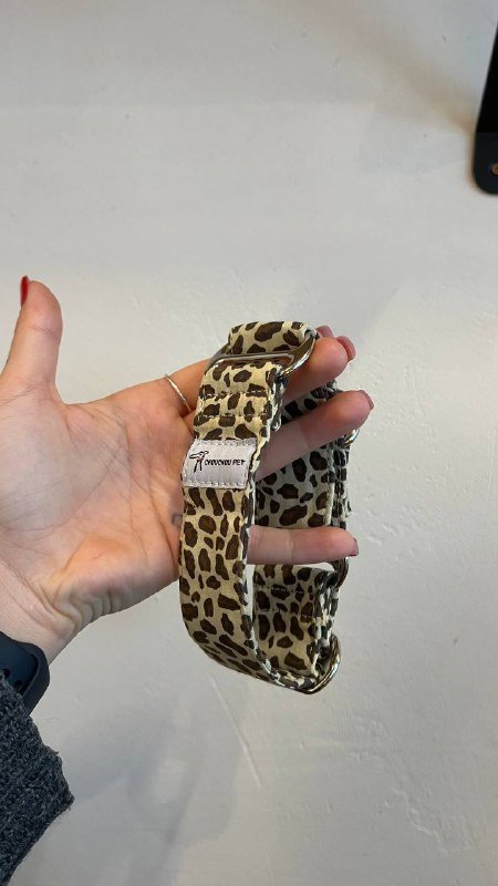 Ошейник на собаку между маленьким и средним размером 2