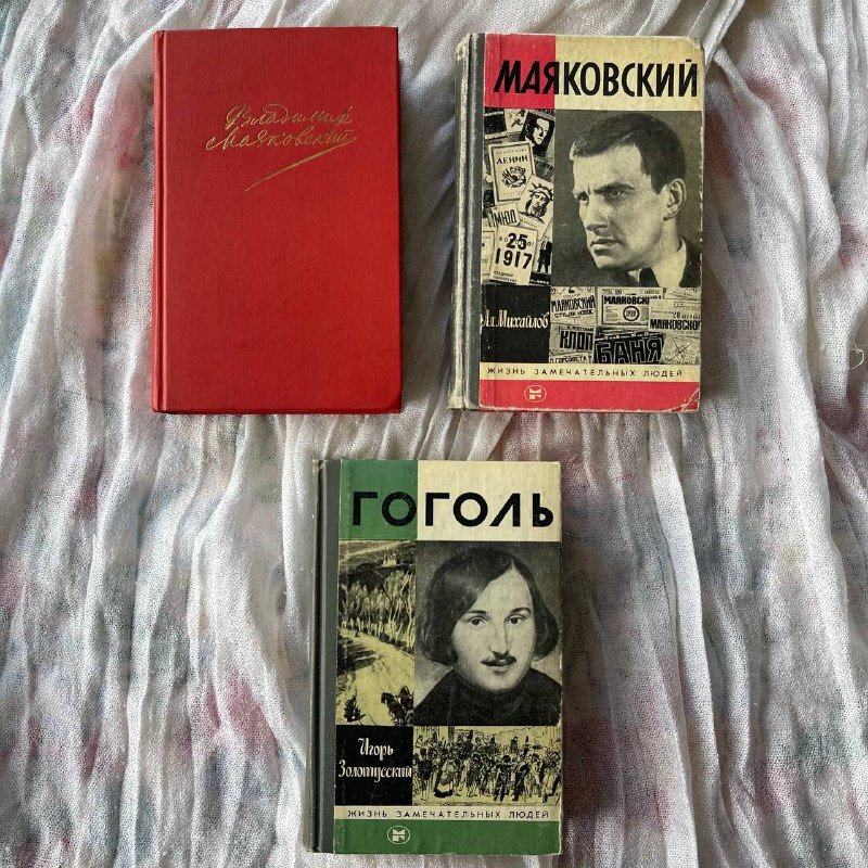 Книги разных авторов, включая Макс Фрай, Брэдбери, Степнова, Пелевин, Гоголь 5