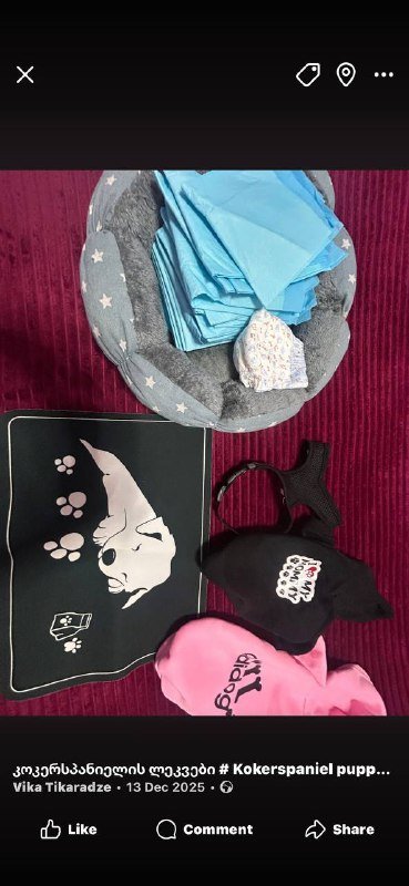 Одежда и лежанка для маленьких пород собак