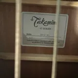 Акустическая гитара Takamine GD10 NS, чехол, каподастр, медиаторы 5