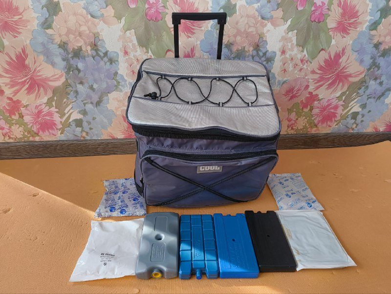 Сумка холодильник на колесах