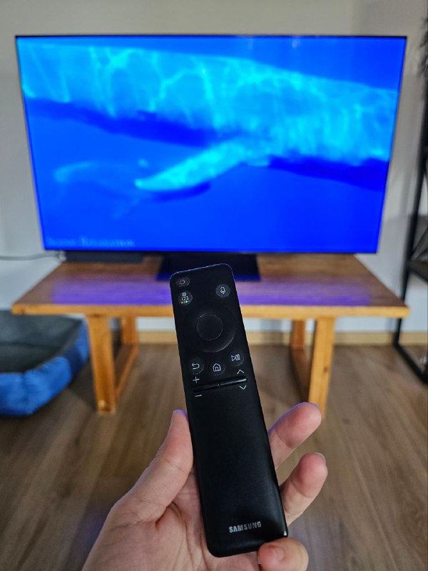 Телевизор SAMSUNG QE55S90CAUXRU 55" 4K OLED 2