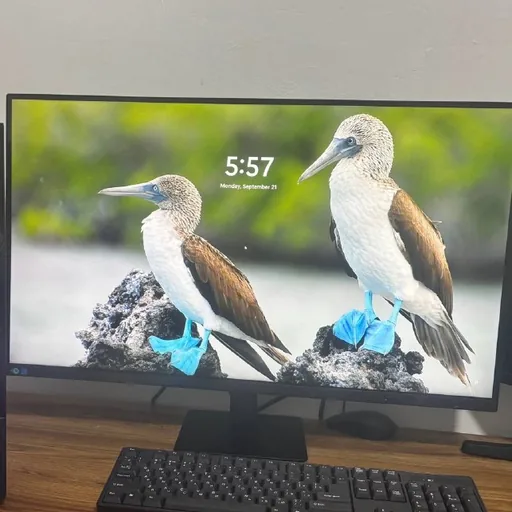 Мониторы Samsung ViewFinity S7 32″ 4K