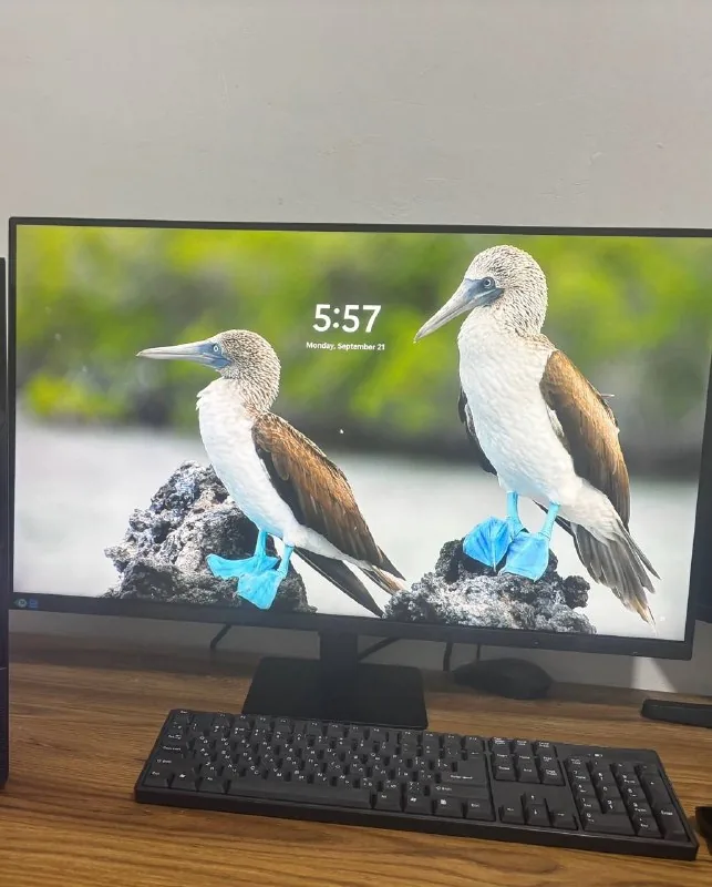 Мониторы Samsung ViewFinity S7 32″ 4K