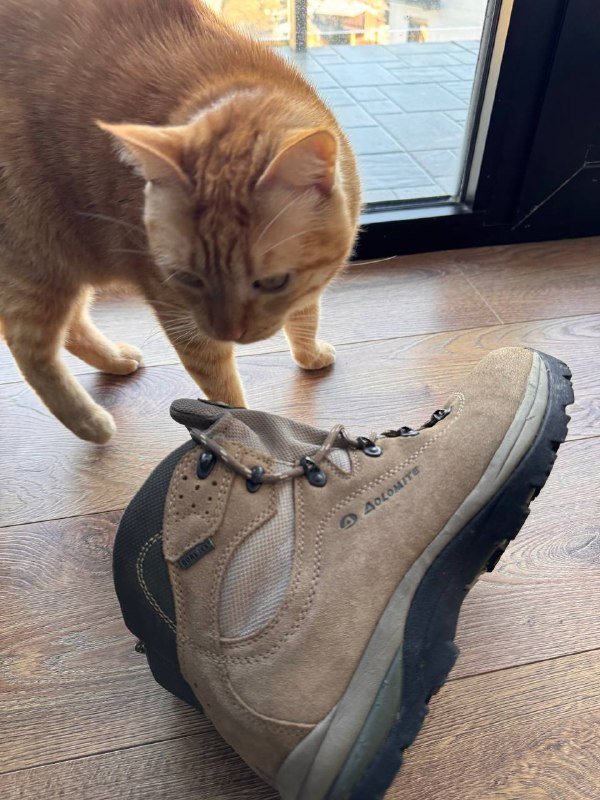 Треккинговые ботинки Dolomite, размер 40, унисекс 5