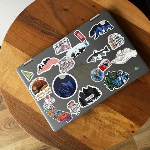 HP Chromebook x360