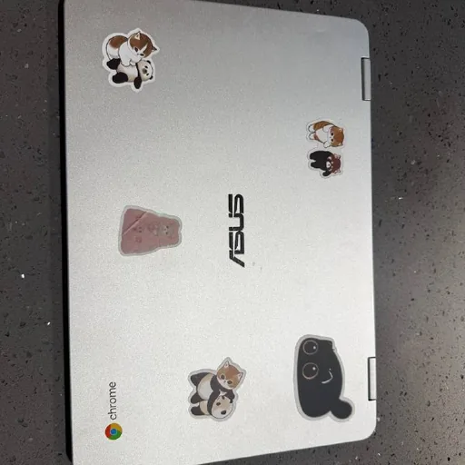 ASUS Chromebook Flip C302