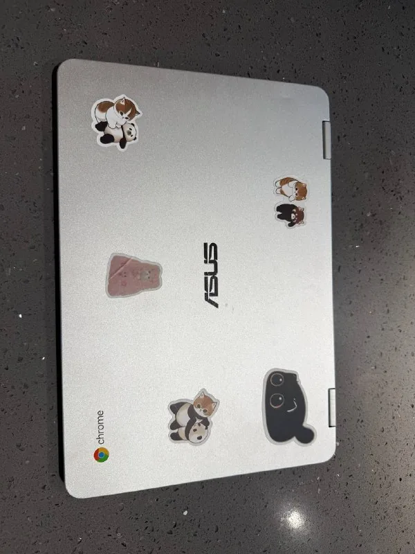 ASUS Chromebook Flip C302 1