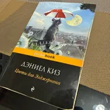Беспроводная зарядка MagSafe, шорты Puma, магнитное крепление, Twister, книги 5