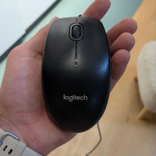 Мышь Logitech, очки, сухари Panko, массажная щётка, ошейник, масло, головоломки, нитки