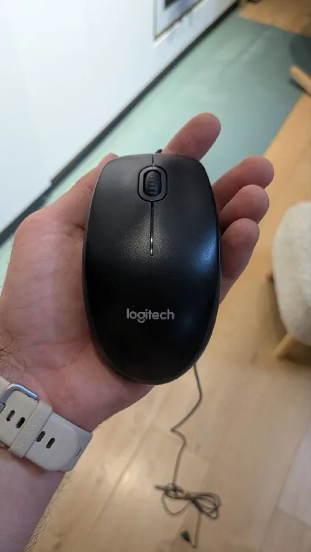Мышь Logitech, очки, сухари Panko, массажная щётка, ошейник, масло, головоломки, нитки 1