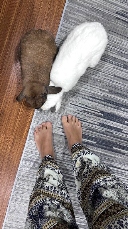 Летние легкие хлопковые штаны 2