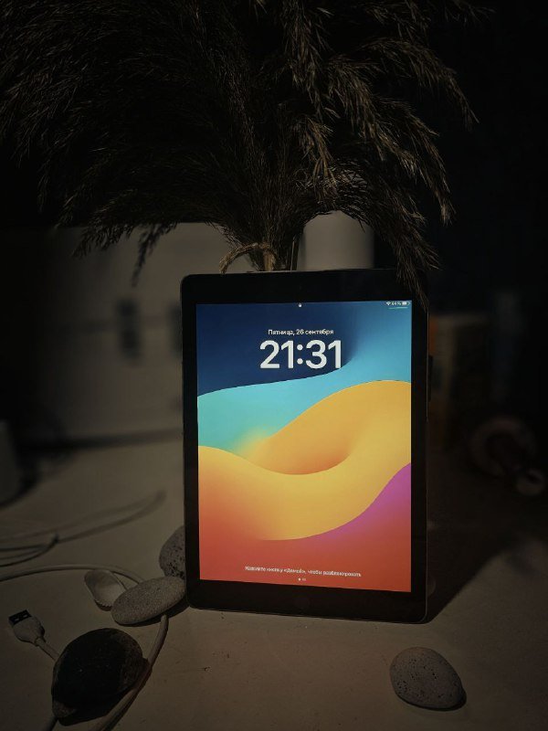 iPad 9,7 (6-gen), Apple Pencil 1-го поколения