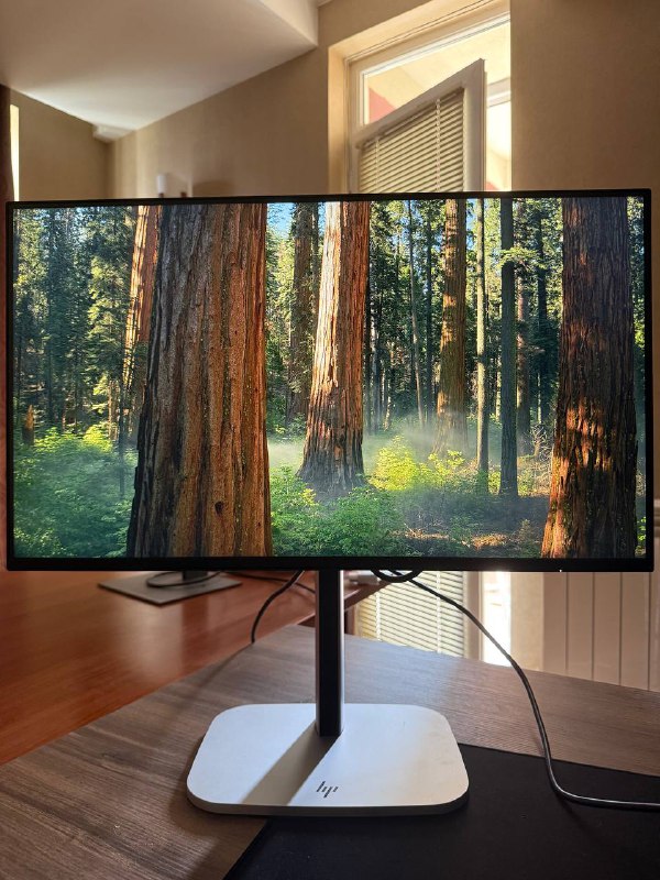 Монитор HP Series 5 Pro 524pf 3