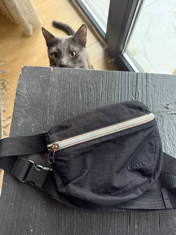 Ветровка Karl Lagerfeld, костюм Patrizia Pepe, сумка Levi’s, джинсы Stradivarius 4