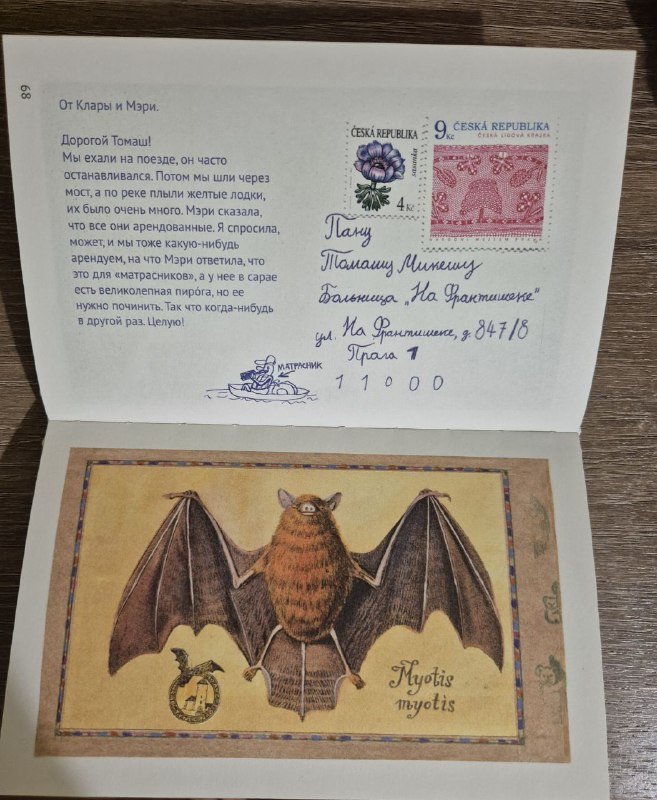 Книга Клара и 11 бабушек 5