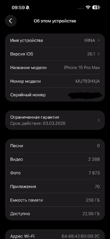 iPhone 15 Pro Max 256 GB 8