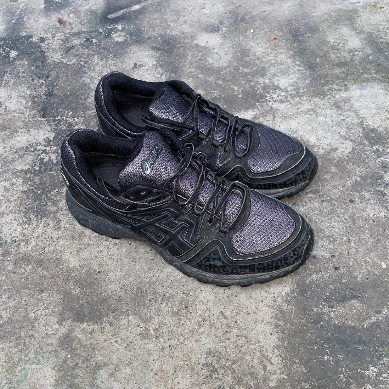 ASICS Gel-fujifreeze Gore-tex, Hoka SpeedGoat 4 Gore-tex shoes