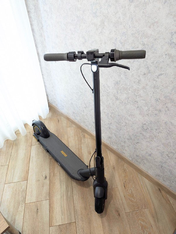 Электросамокат Segway Ninebot G30p 2