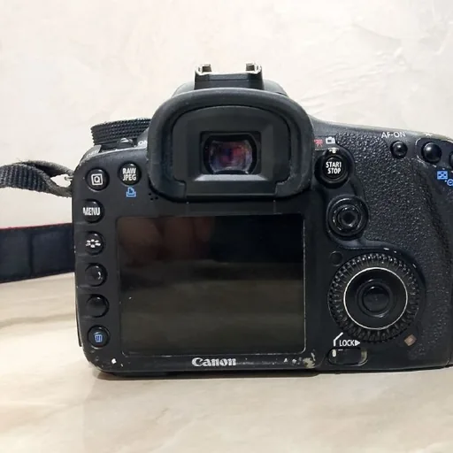 Canon 7D, объективы Canon 18-55 и 50mm f/1.4