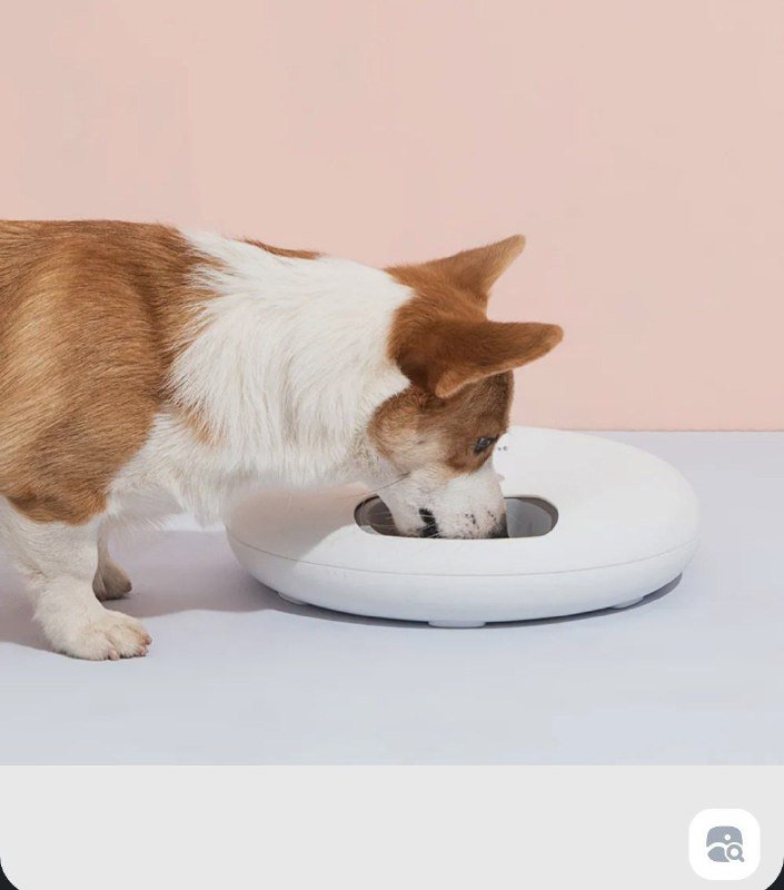 Автоматическая кормушка petwant 6