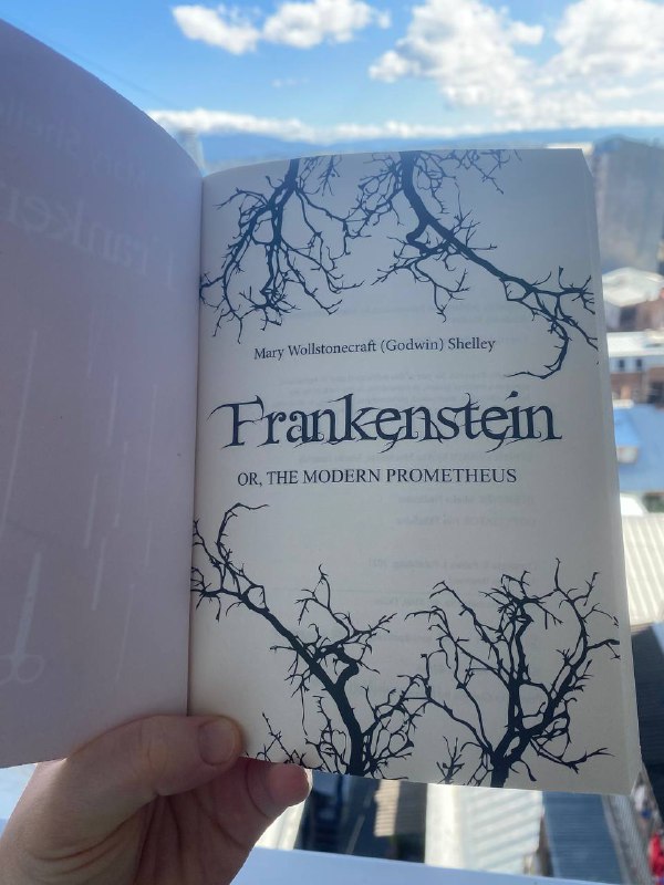 Mary Shelley Frankenstein книга на английском языке 2