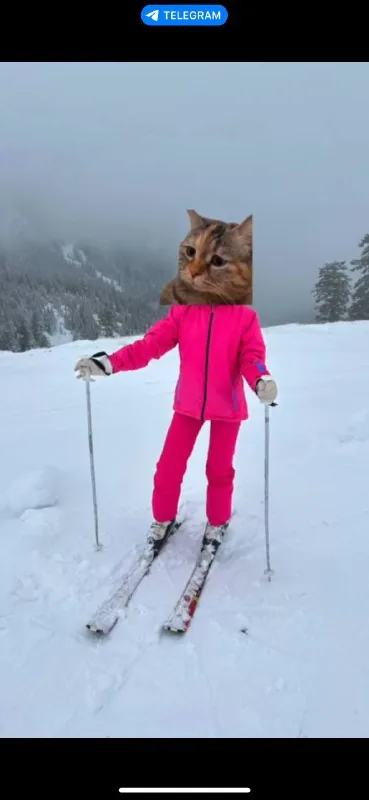 Горнолыжный костюм