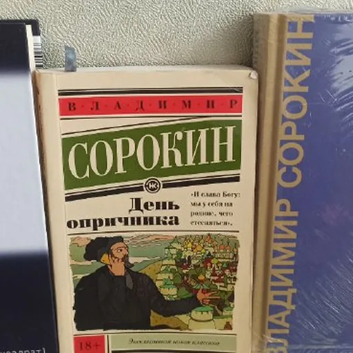 Книги В. Сорокина