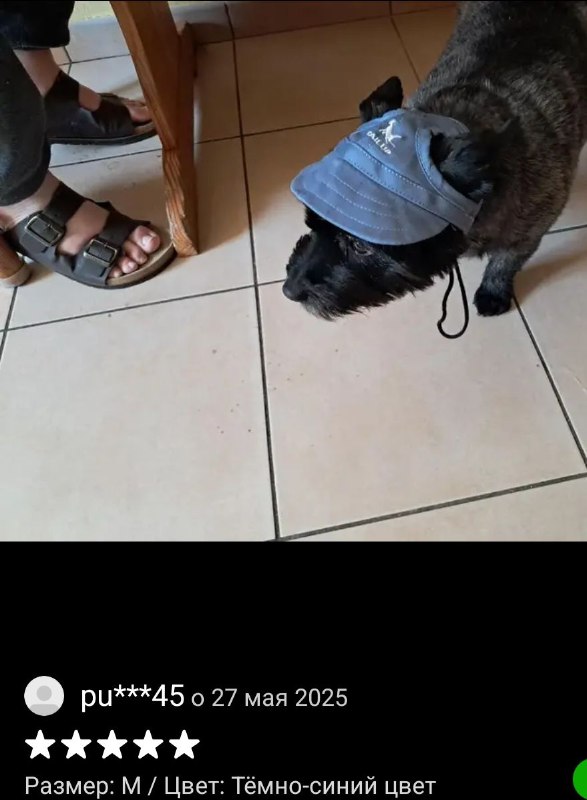 Расческа, корралки, кепка для собаки, спрей SPF, лак, крем для чистки серебра 6