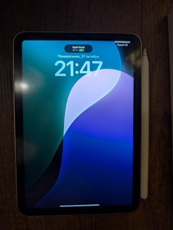 Ipad mini 6 256GB pink, Apple pencil 2 2