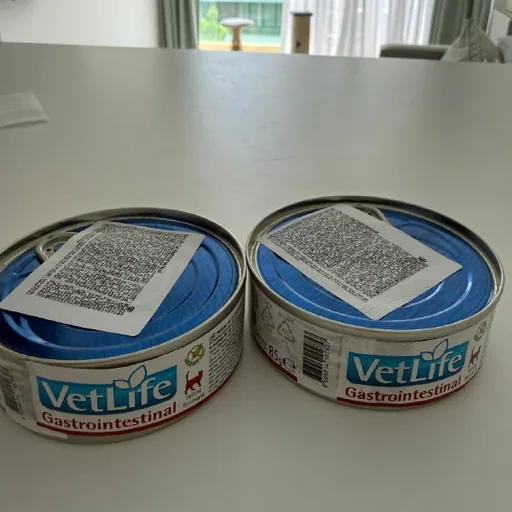 VetLife Gastrointestinal cat