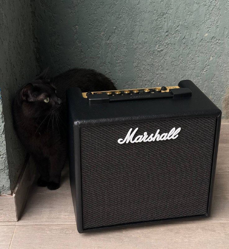 Комбоусилитель Marshall Code 25
