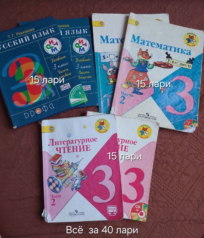 Учебные книги по литературе и математике