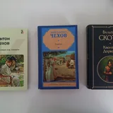 Книги: Сэлинджер, Шекспир, Рембо, Чехов и другие 3