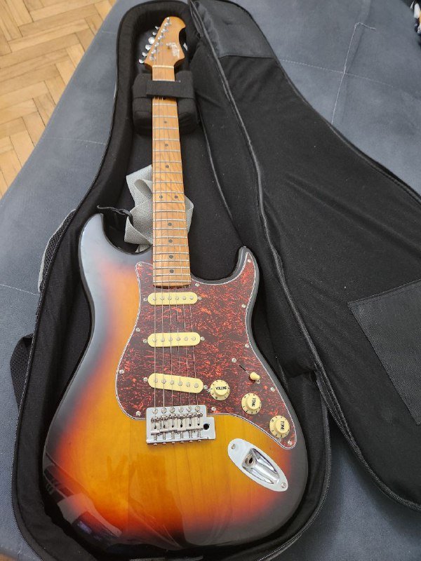 Электрогитара ZET с утеплённым чехлом 2