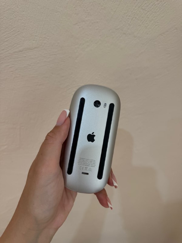 Apple Magic Mouse 2 2