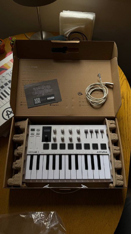 MIDI-клавиатура Arturia MiniLab 3, пальто UNIQLO, куртка QUICKSILVER, рубашка ZARA, монитор HP x27q, обувь Salomon XUltra GTX, ортопедическая подушка