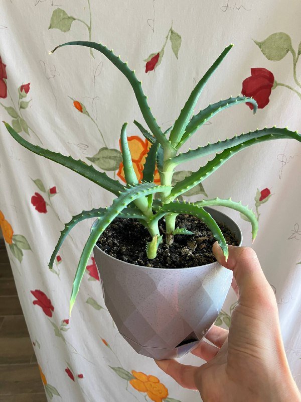 Рюкзак 40х29х15 6