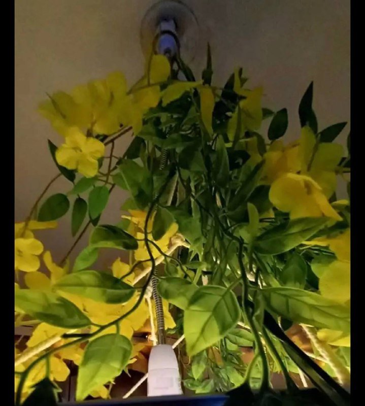 Гибкий патрон цоколь удлинитель для лампы 50 см