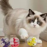 Товары для животных, поилка, поводок, игрушка, расчески 4