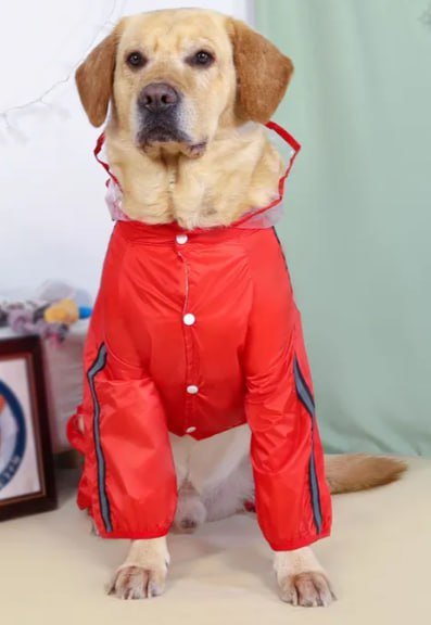 Дождевик с капюшоном для средних/больших собак 7ХЛ 2