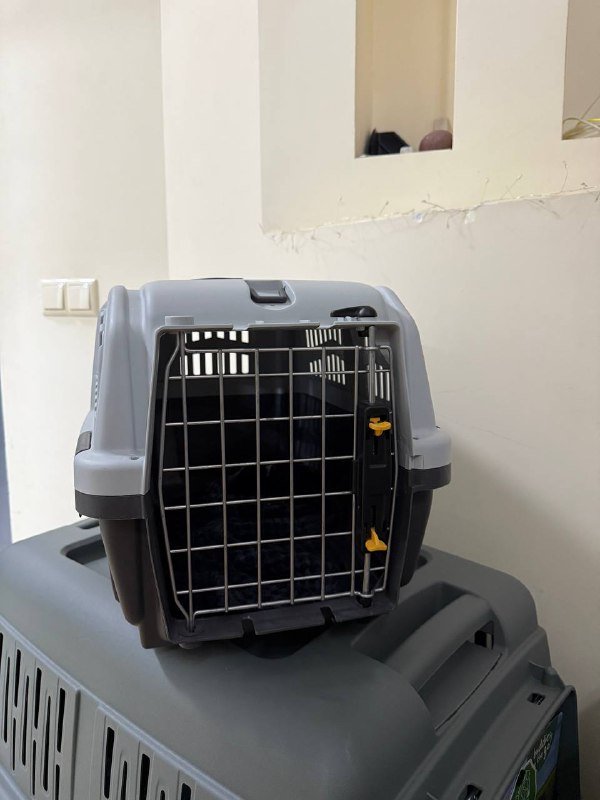 Аксессуары и техника, мебель, обувь, переноски для питомцев, книги 5